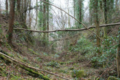 Lasgarn Railroad branch near incline, March 2009